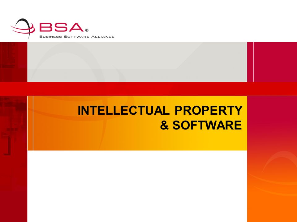 INTELLECTUAL PROPERTY & SOFTWARE