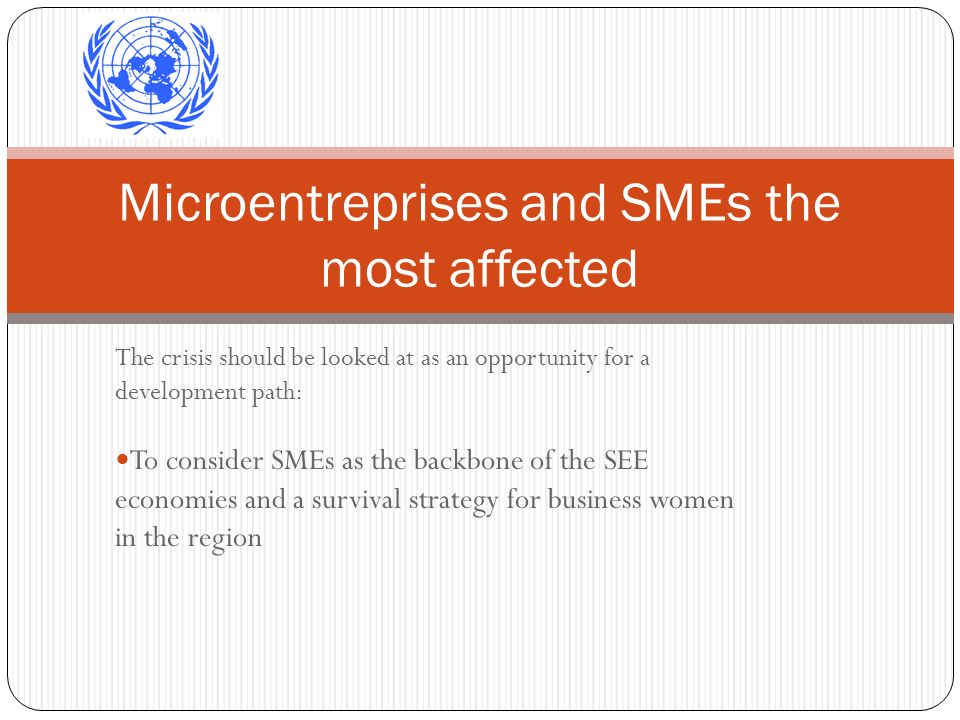 The crisis should be looked at as an opportunity for a development path: To consider SMEs as the backbone of the SEE economies and a survival strategy for business women in the region Microentreprises and SMEs the most affected