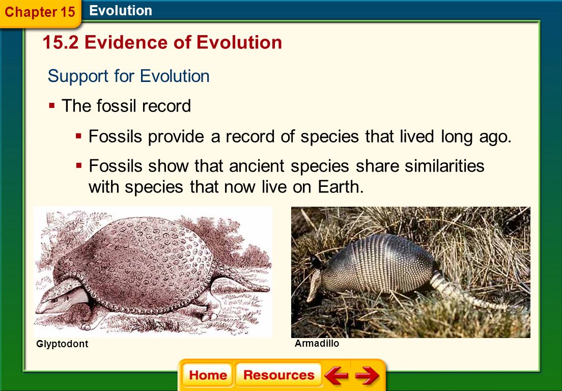 Evolution Natural Selection Worksheet The Theory Of Evolution By Natural Selection Worksheet Answers