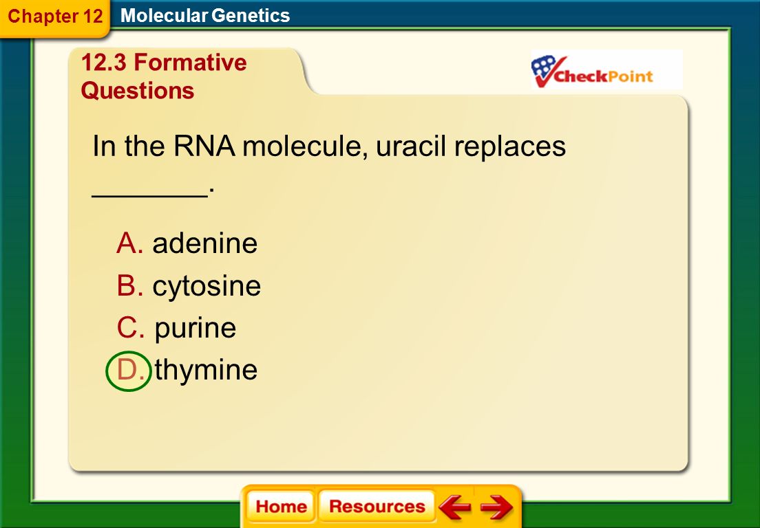 Printables Chapter 11 Dna And Genes Worksheet Answers Chapter 11 Dna And Genes Worksheet Answers Davezan Collection Of Bloggakuten