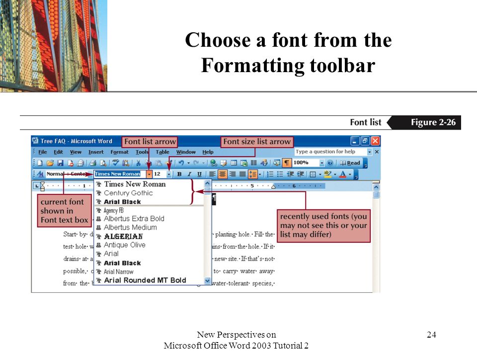 XP New Perspectives on Microsoft Office Word 2003 Tutorial 2 24 Choose a font from the Formatting toolbar