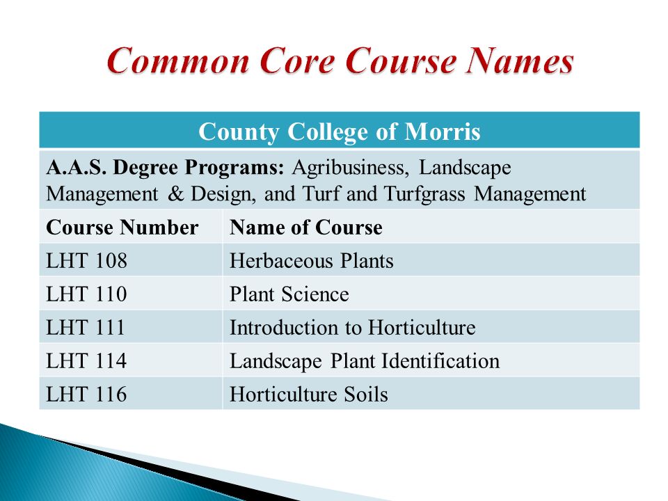 County College of Morris A.A.S.
