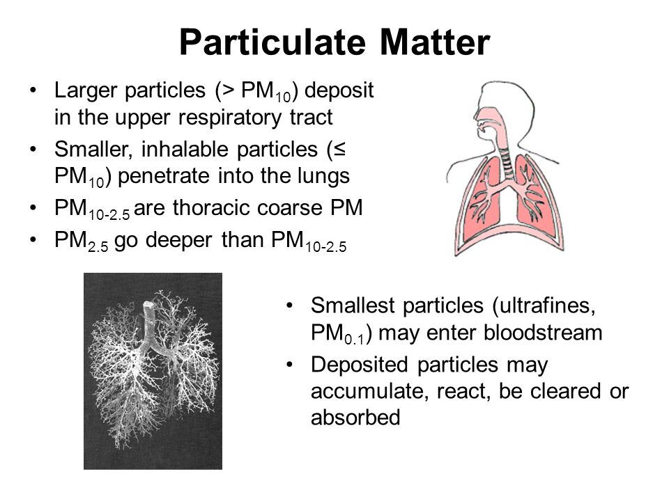 Larger particles (> PM 10 ) deposit in the upper respiratory tract Smaller, inhalable particles ( PM 10 ) penetrate into the lungs PM are thoracic coarse PM PM 2.5 go deeper than PM Smallest particles (ultrafines, PM 0.1 ) may enter bloodstream Deposited particles may accumulate, react, be cleared or absorbed Particulate Matter
