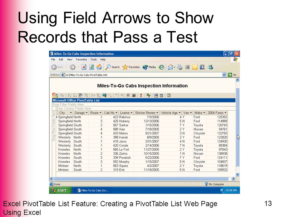 Excel PivotTable List Feature: Creating a PivotTable List Web Page Using Excel 13 Using Field Arrows to Show Records that Pass a Test