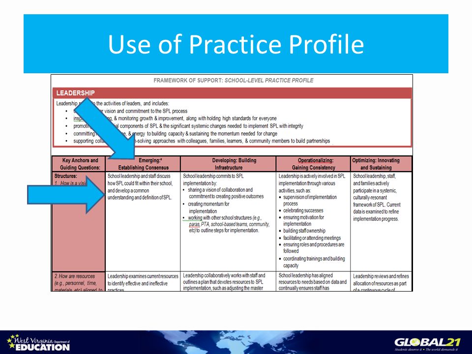 Use of Practice Profile