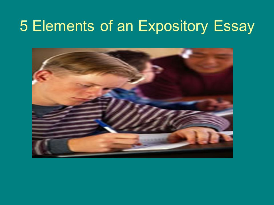 Elements of a multi paragraph essay