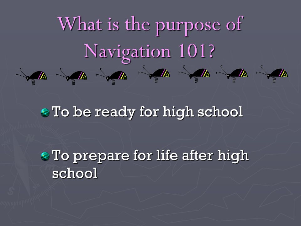 What is the purpose of Navigation 101.