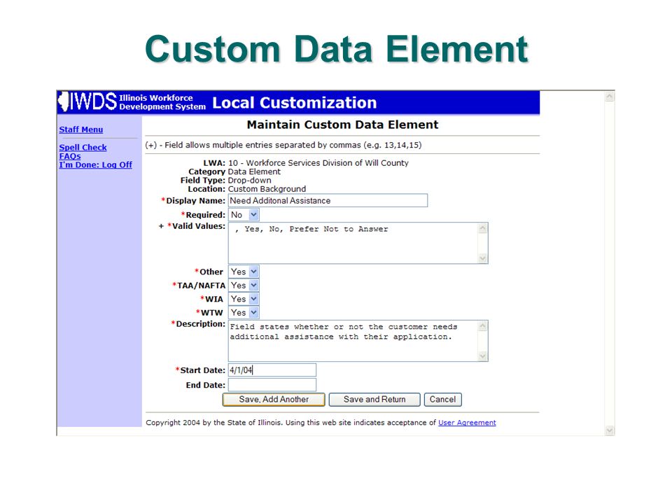 Custom Data Element