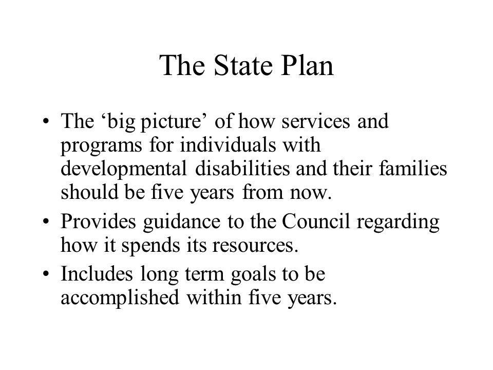 The State Plan The big picture of how services and programs for individuals with developmental disabilities and their families should be five years from now.