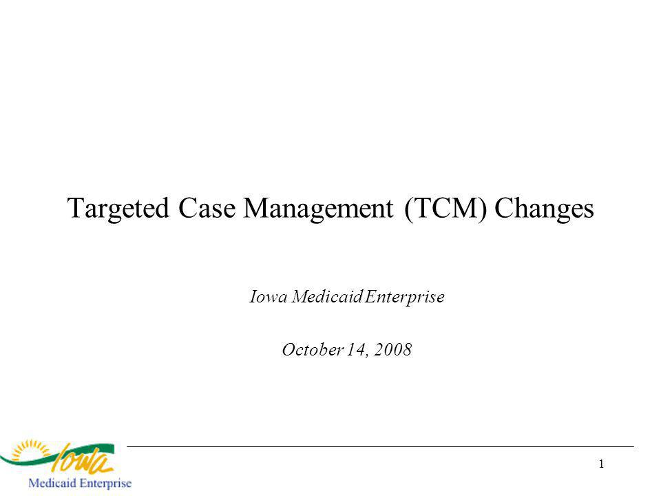 1 Targeted Case Management (TCM) Changes Iowa Medicaid Enterprise October 14, 2008