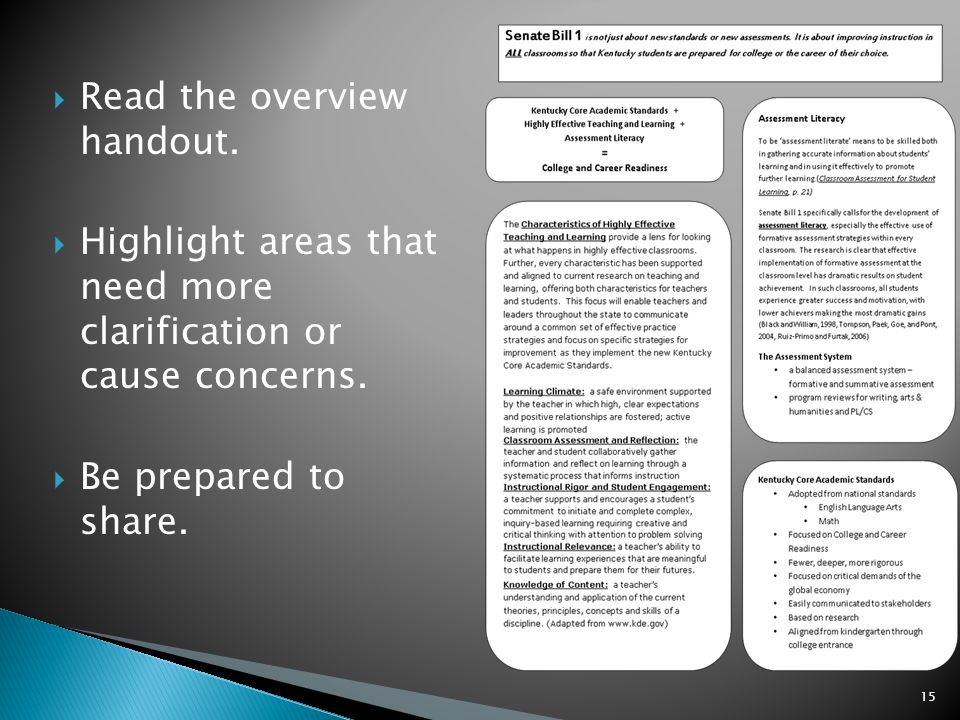 Read the overview handout. Highlight areas that need more clarification or cause concerns.