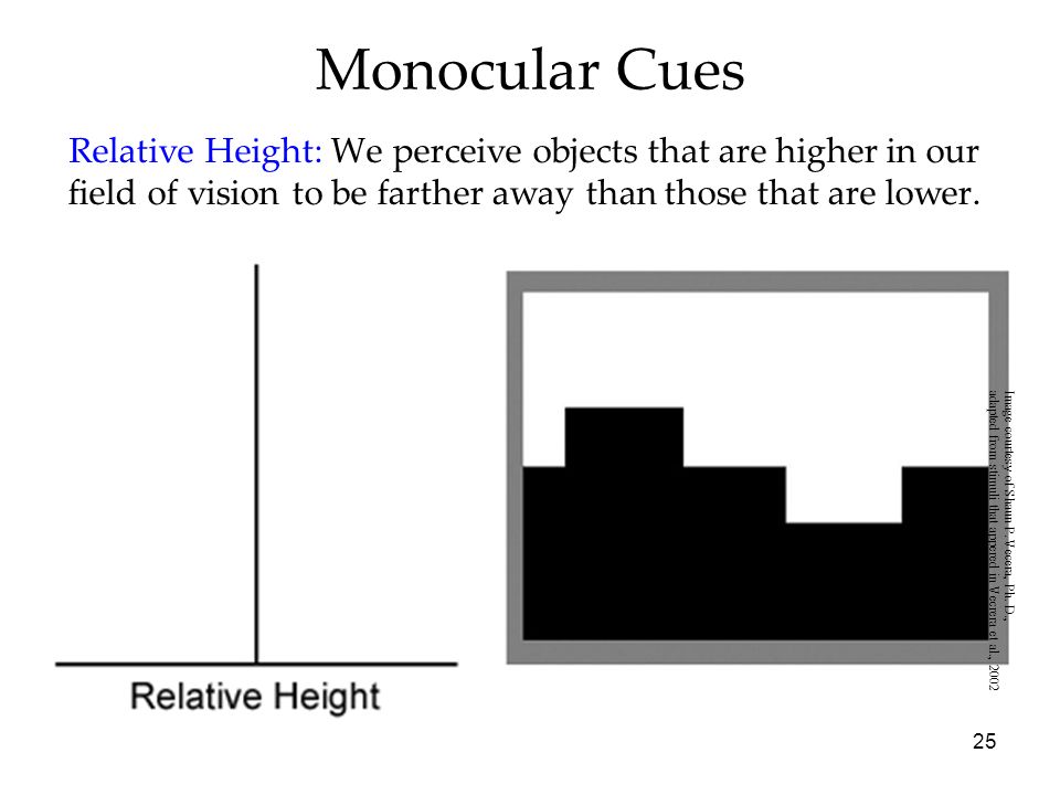 25 Monocular Cues Relative Height: We perceive objects that are higher 