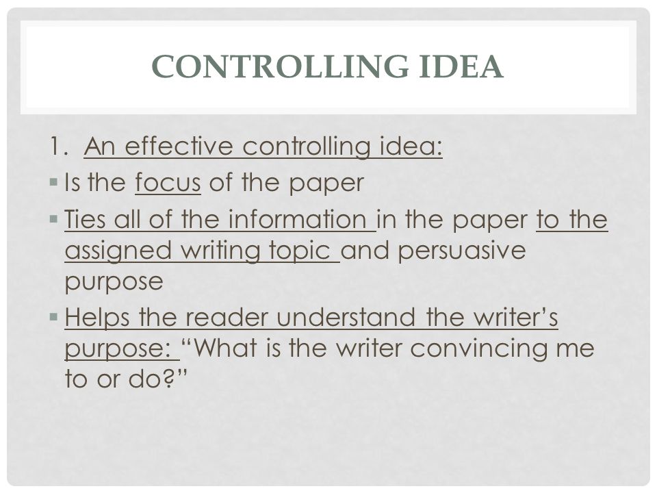 Controlling idea essay example