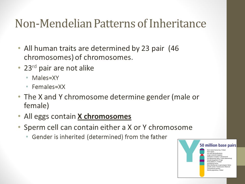 Mendelian Genetics Worksheet Cxpz Info Inheritance Of Two Traits Simultaneously A Dihybrid Cross The Above Graphic Is From Genetics Pages At Mcgill University Non Mendelian Worksheet
