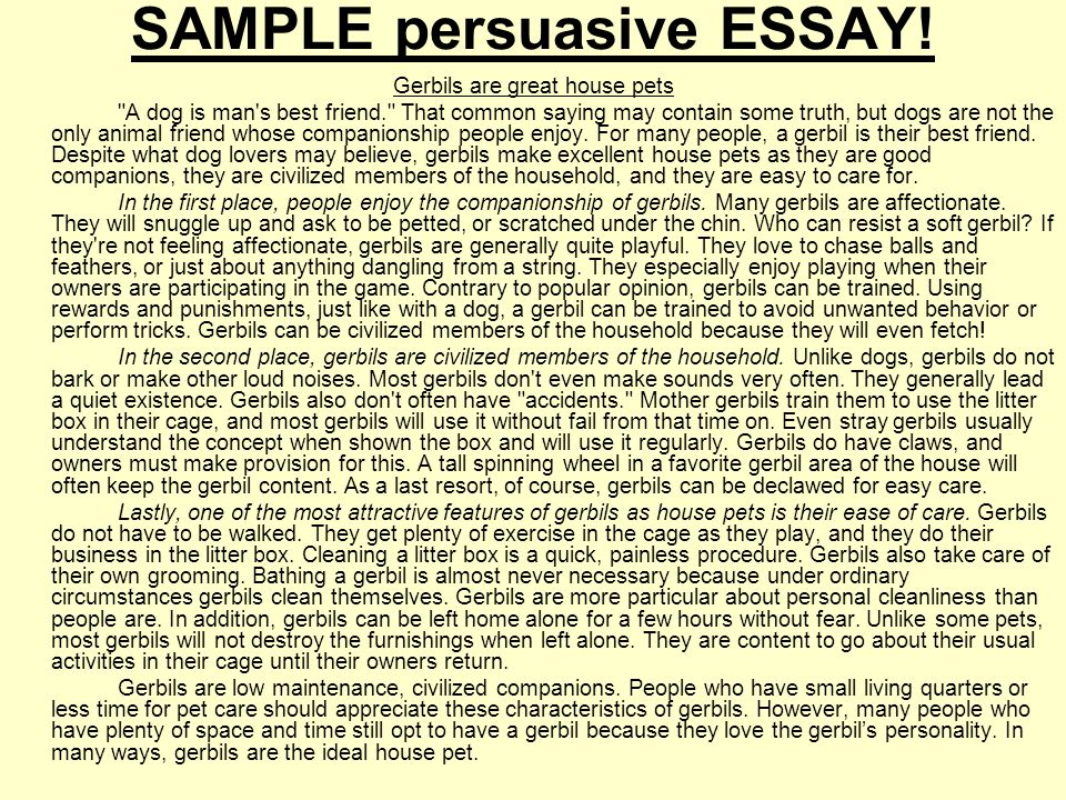 Presentation in essay writing