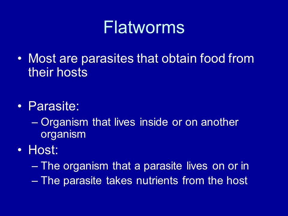 flatworms essay Have you ever heard of an organism from the phylum platyhelminthes do you know how they reproduce in this lesson you will learn the answers to. flatworms essay Have you ever heard of an organism from the phylum platyhelminthes do you know how they reproduce in this lesson you will learn the answers to.