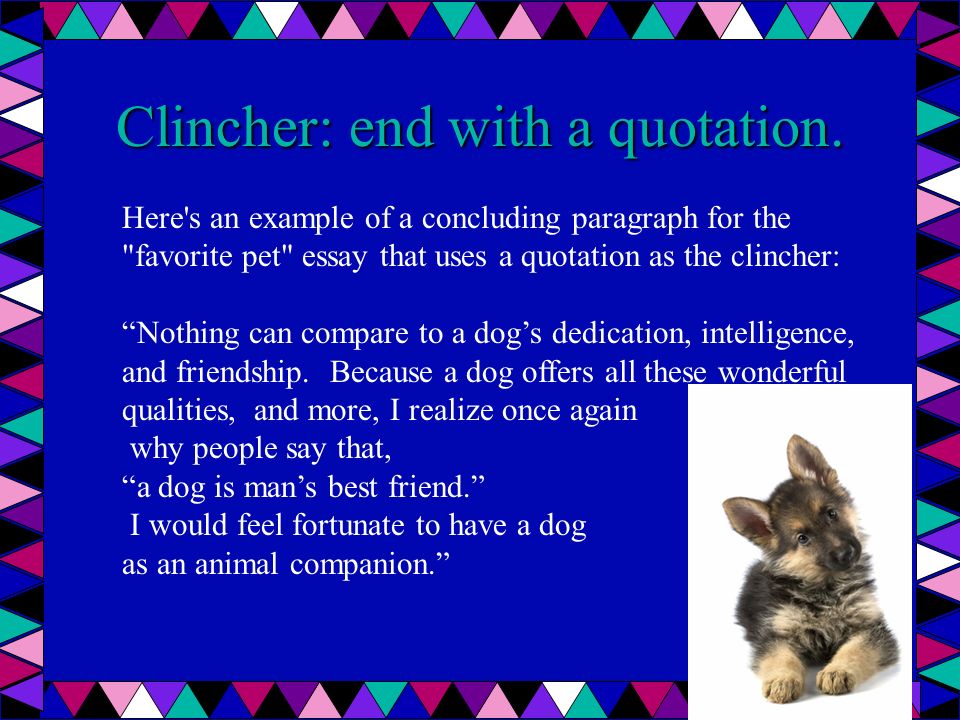 my favourite animal essay I love my pet rabbit very essays for primary kids, less than 15 sentense on my pet animal my garden- short paragraph/simple essay my favourite teacher. my favourite animal essay I love my pet rabbit very essays for primary kids, less than 15 sentense on my pet animal my garden- short paragraph/simple essay my favourite teacher.