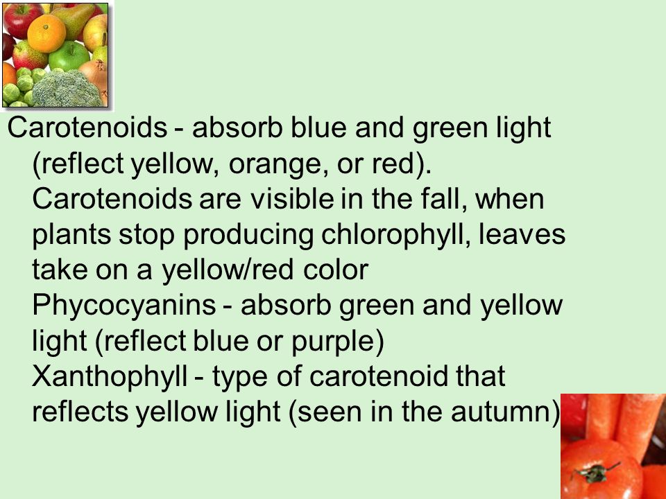 write the chemical equation for photosynthesis write the chemical equation for photosynthesis
