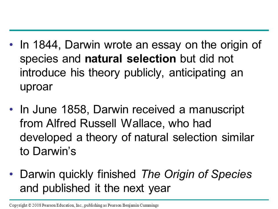 essay darwin essay darwin