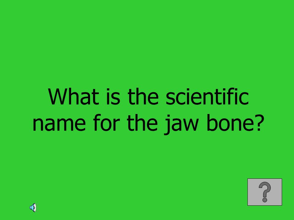 Game Jeopardy Musculoskeletal System