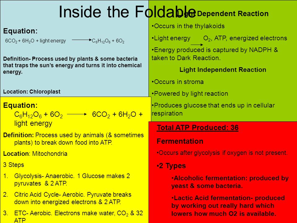 Cellular Respiration Equation Reactants And Products Talkchannels What Is The Chemical Equation For Cellular Respiration Video Presentation Quot Identify Reactants And Products Mitochondria Lessons Tes Teach