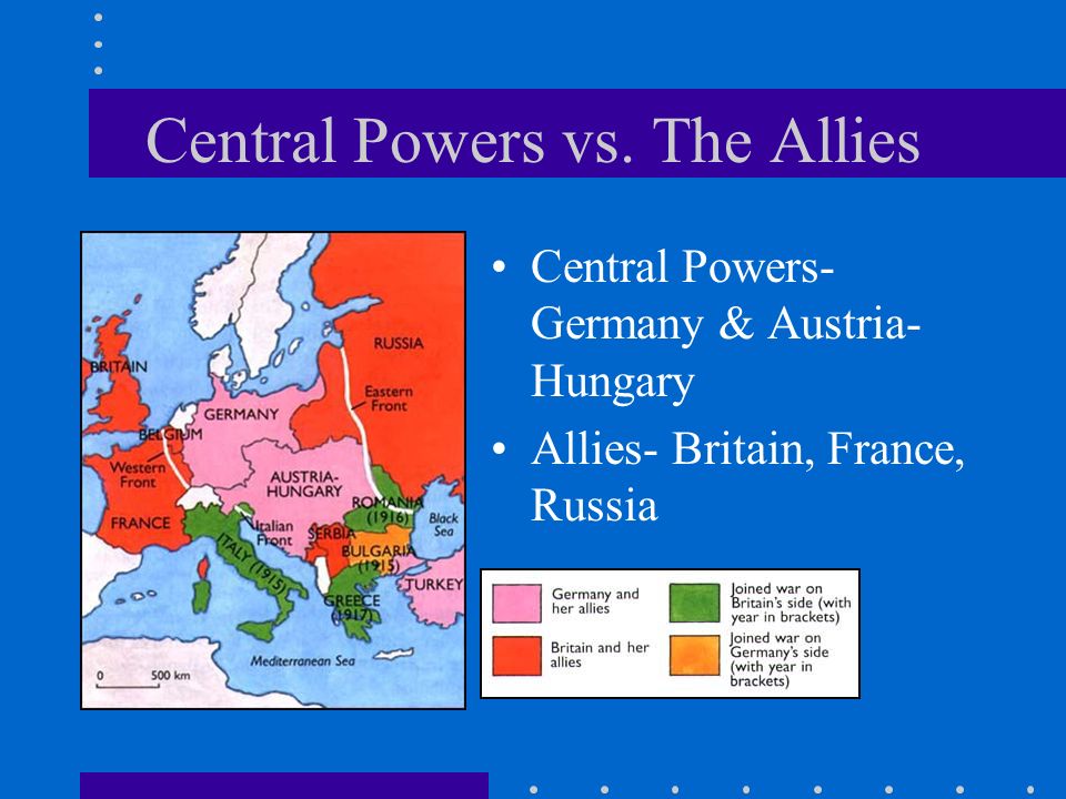 What Caused World War 1 Essay
