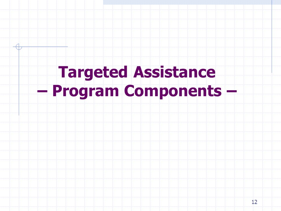 12 Targeted Assistance – Program Components –