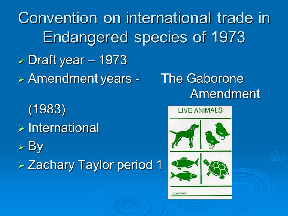 Convention on international trade in Endangered species of 1973 Draft year – 1973 Draft year – 1973 Amendment years - The Gaborone Amendment (1983) Amendment years - The Gaborone Amendment (1983) International International By By Zachary Taylor period 1 Zachary Taylor period 1