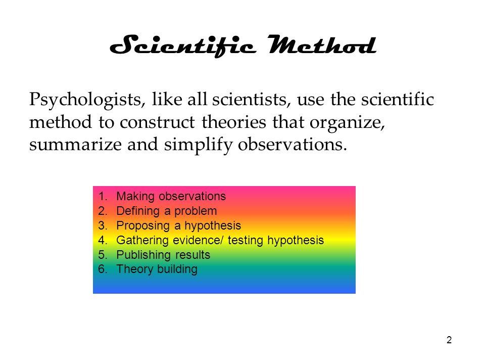 essay of writing process hobby cricket