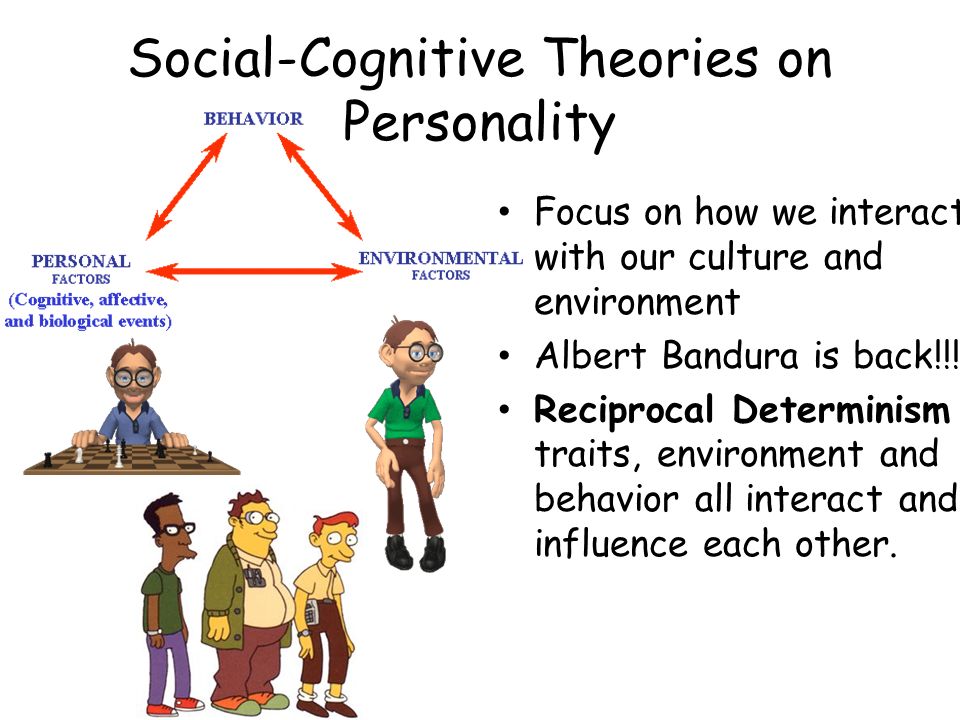 A study on skinners behaviorist theories - UKEssayscom rags to riches essay topics