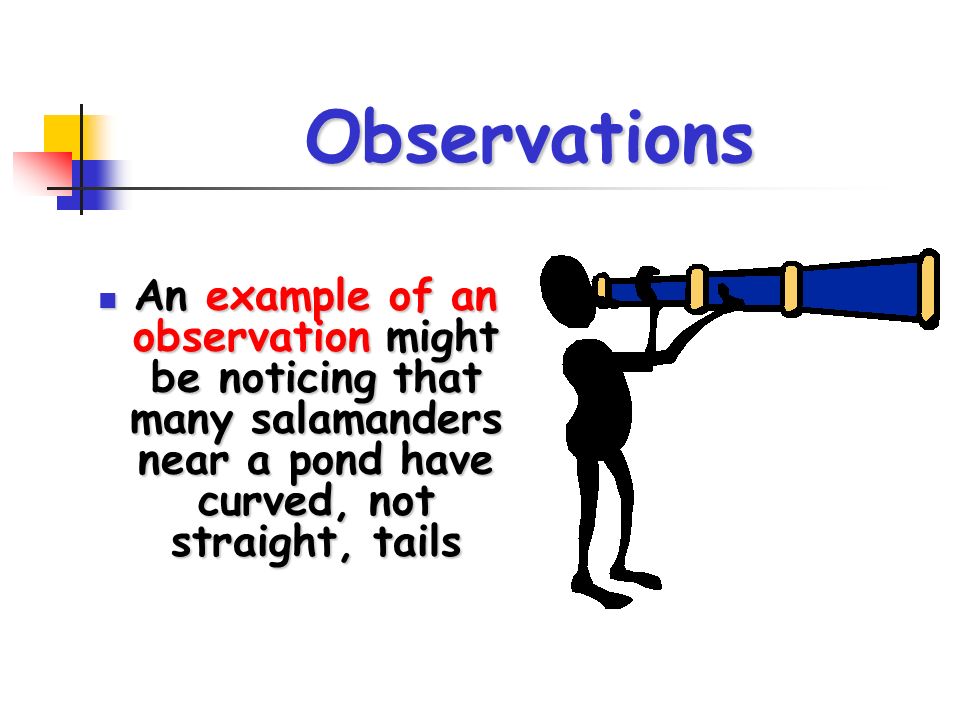 Confessions Of A Dissertation Editor Practical Help And Real Life Stories