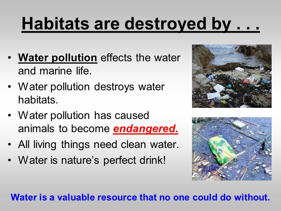 cause and effects of water pollution cause and effects of water pollution