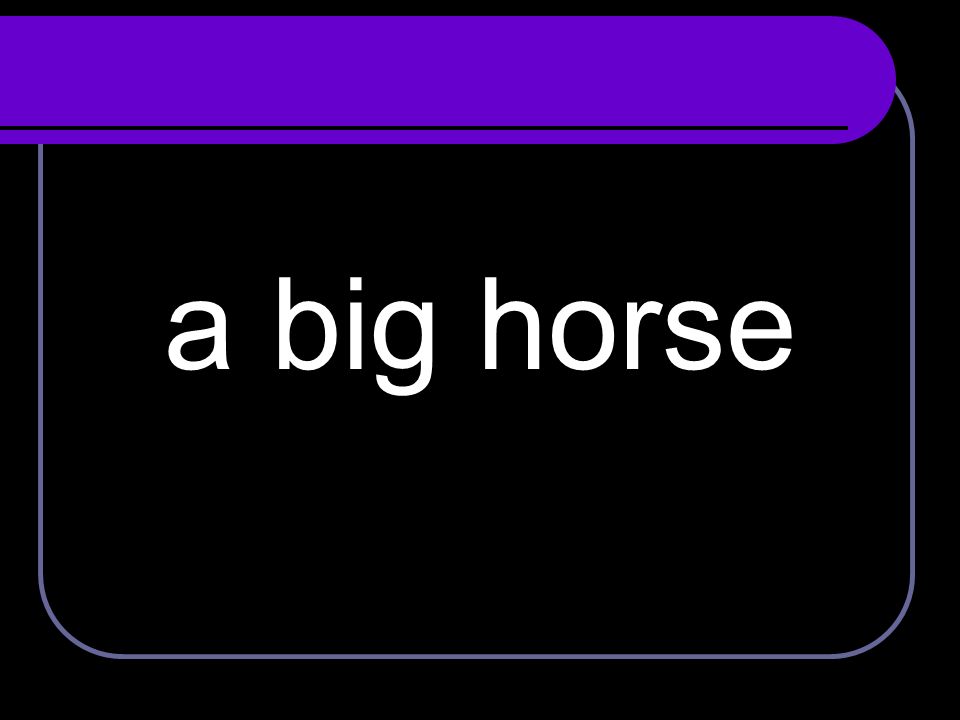 a big horse