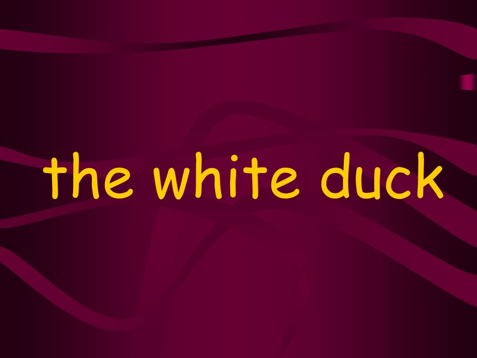 the white duck