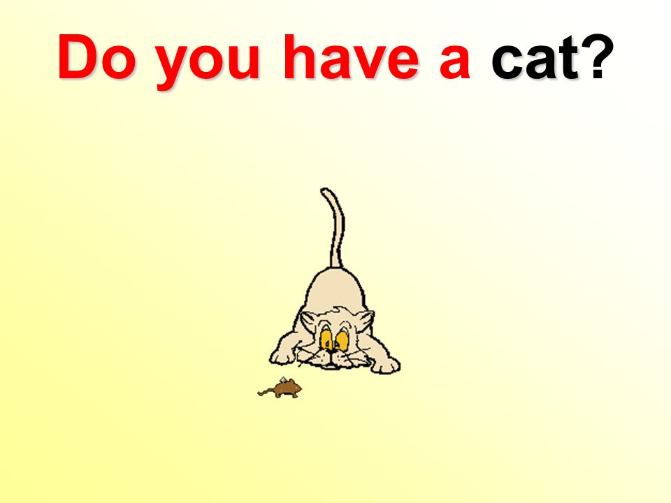 Do you havecat Do you have a cat
