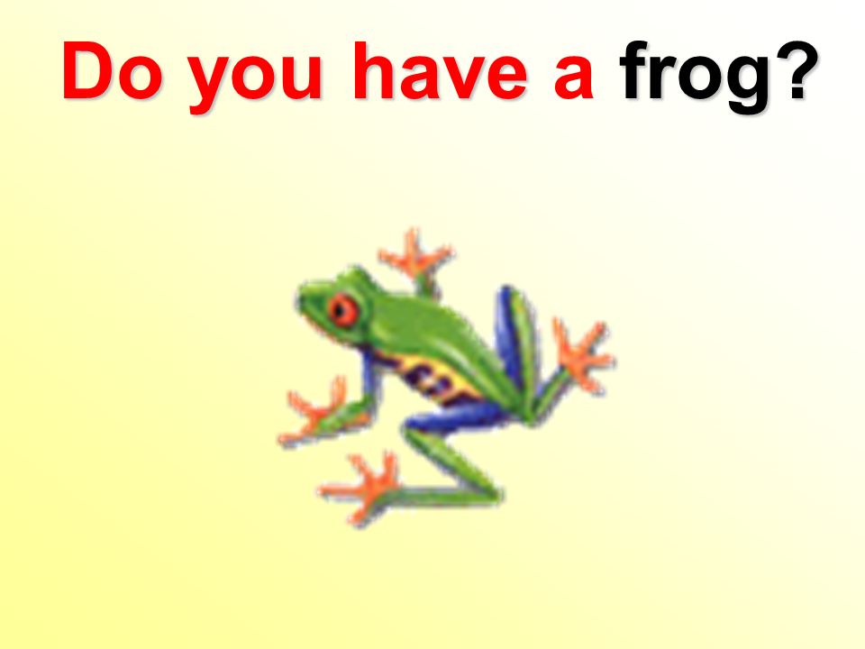 Do you havefrog Do you have a frog