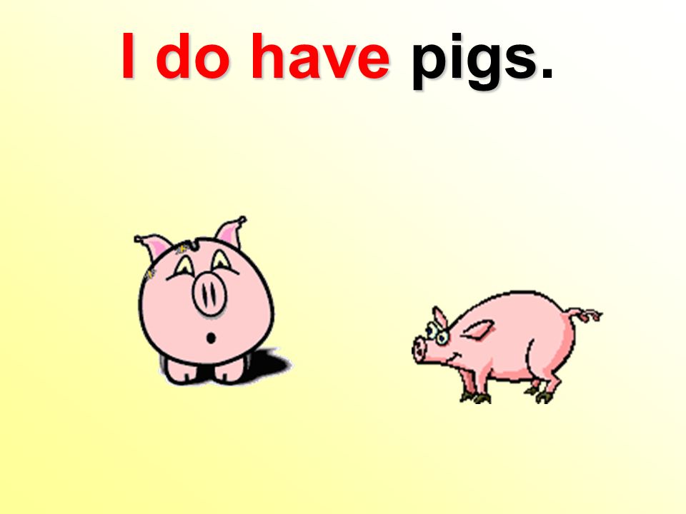 I do have pigs I do have pigs.