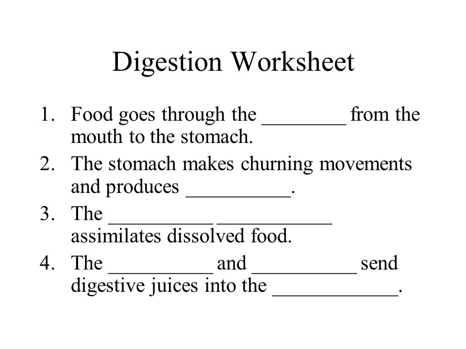 Worksheets Digestion Worksheet digestive system worksheet 1 what kinds of food are digested in digestion goes through the from mouth to stomach