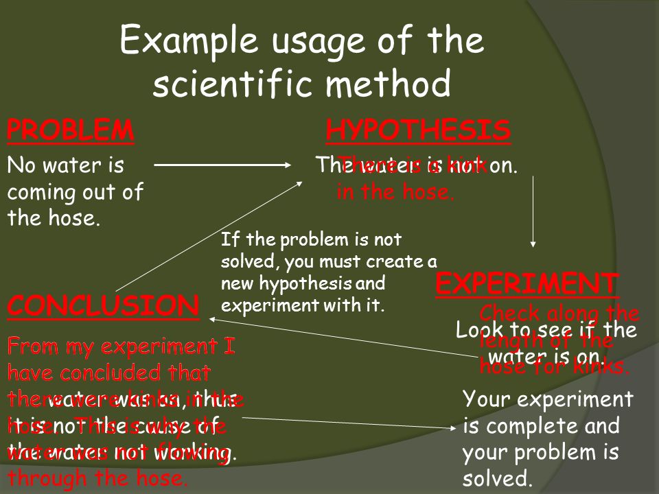 writing the essay science writing the essay science