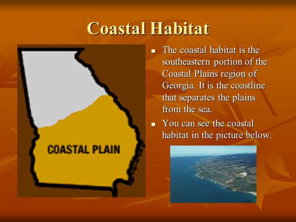 piedmont habitat