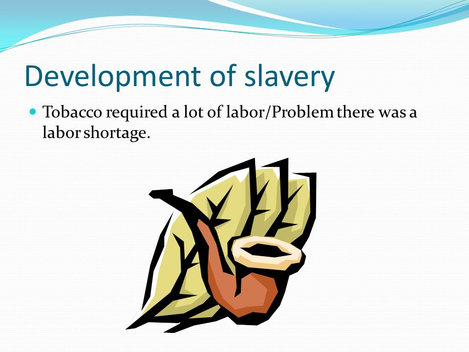 Jamestown Essay
