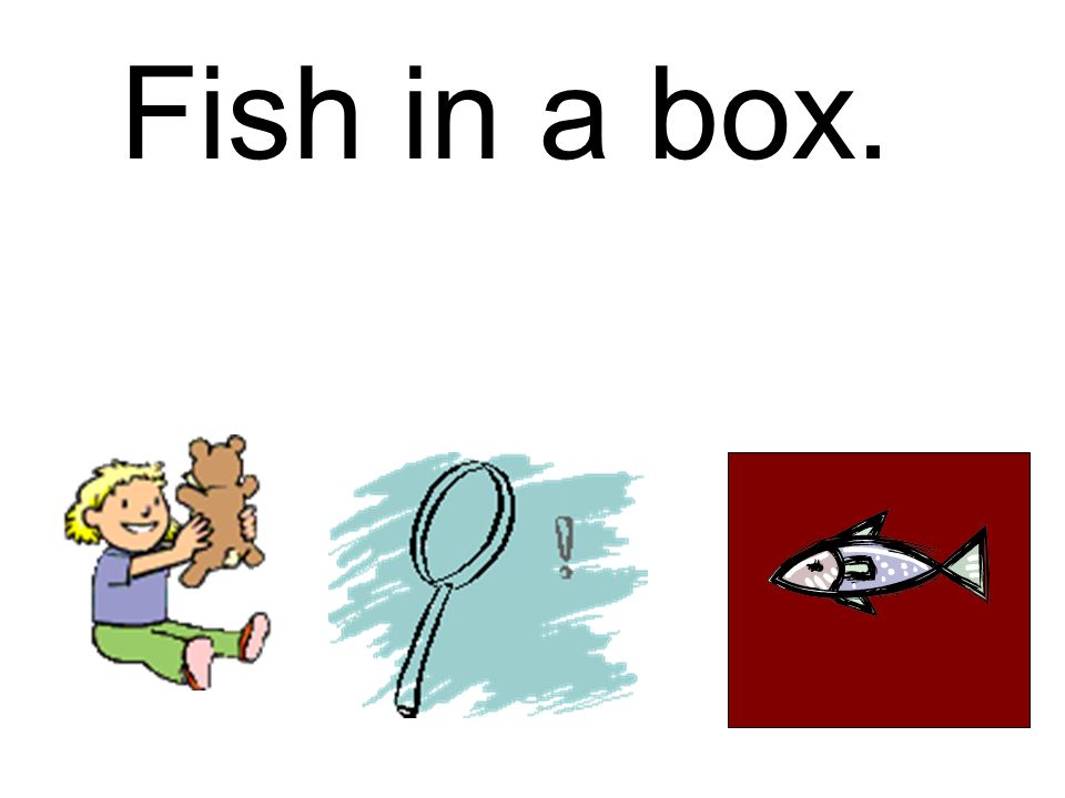 Fish in a box.
