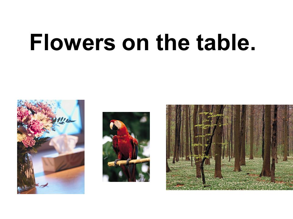 Flowers on the table.