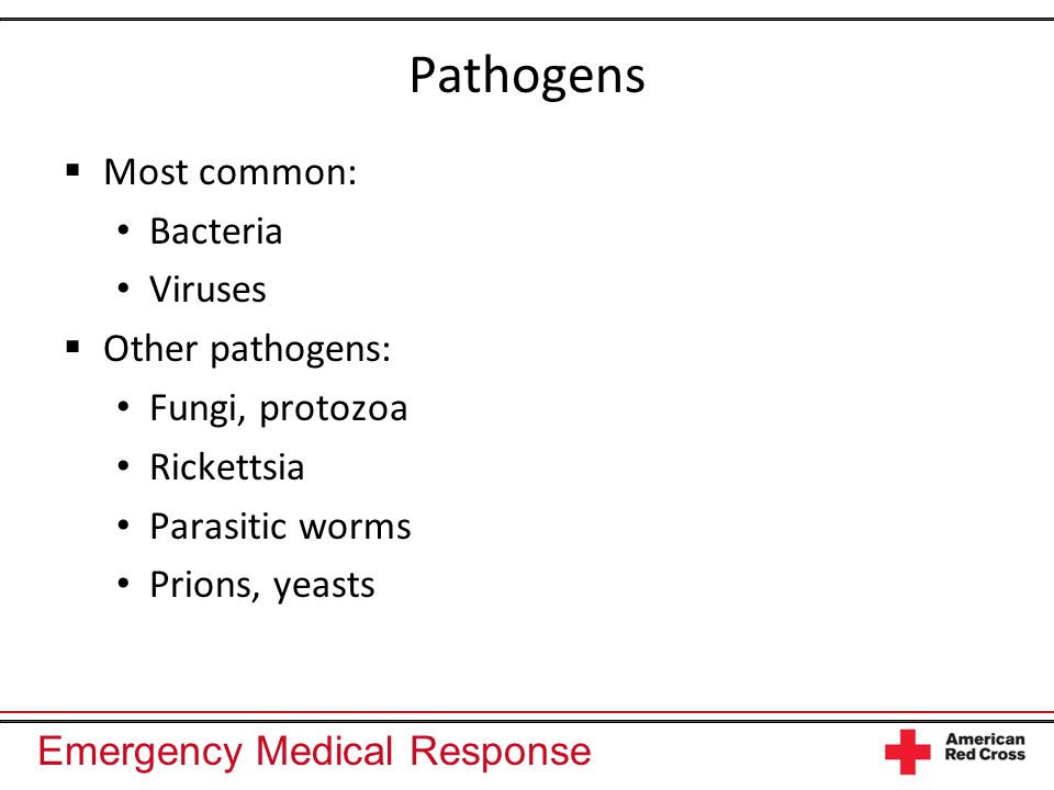 Emergency Medical Response Pathogens Most common: Bacteria Viruses Other pathogens: Fungi, protozoa Rickettsia Parasitic worms Prions, yeasts
