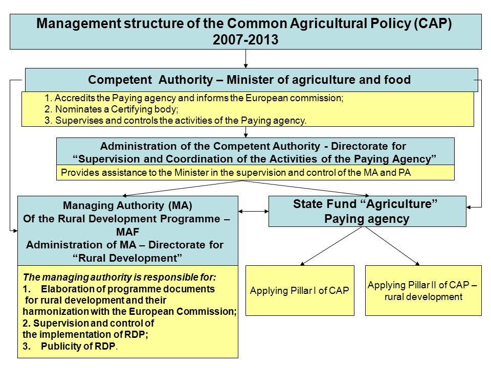 Management structure of the Common Agricultural Policy (CAP) Competent Authority – Minister of agriculture and food Managing Authority (MA) Of the Rural Development Programme – MAF Administration of MA – Directorate for Rural Development Administration of the Competent Authority - Directorate for Supervision and Coordination of the Activities of the Paying Agency State Fund Agriculture Paying agency Applying Pillar I of CAP Applying Pillar II of CAP – rural development The managing authority is responsible for: 1.Elaboration of programme documents for rural development and their harmonization with the European Commission; 2.