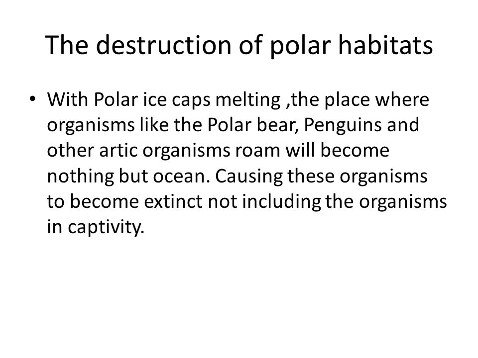 The destruction of polar habitats With Polar ice caps melting,the place where organisms like the Polar bear, Penguins and other artic organisms roam will become nothing but ocean.