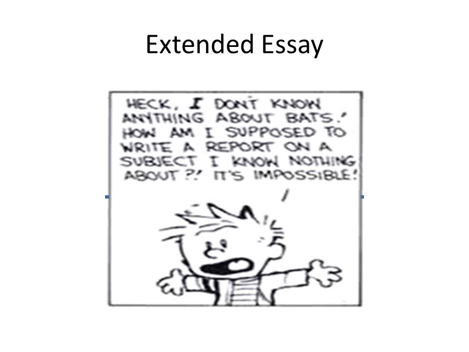Business Ethics Essay Topics Extended Essay Bio Topics General Essay Writing Tips How To Structure My Ib Biology Extended Essay Thesis Statement Examples For Essays also Example Of Essay Writing In English Quoting And Paraphrasing Mla Style Loyola Marymount University Statistic Help Online
