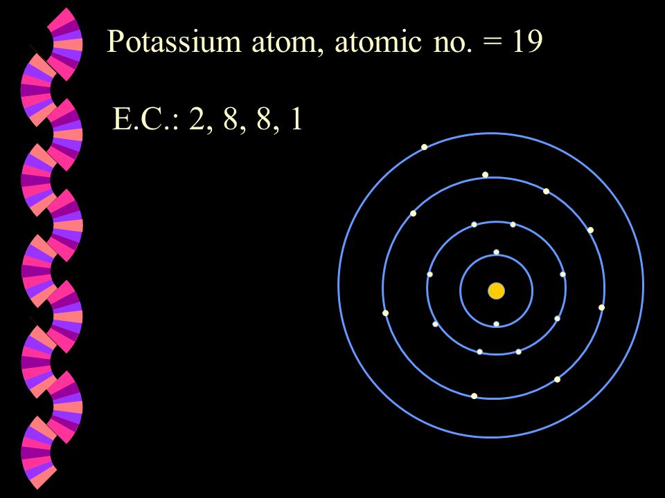 Potassium atom, atomic no. = 19 E.C.: 2, 8, 8, 1