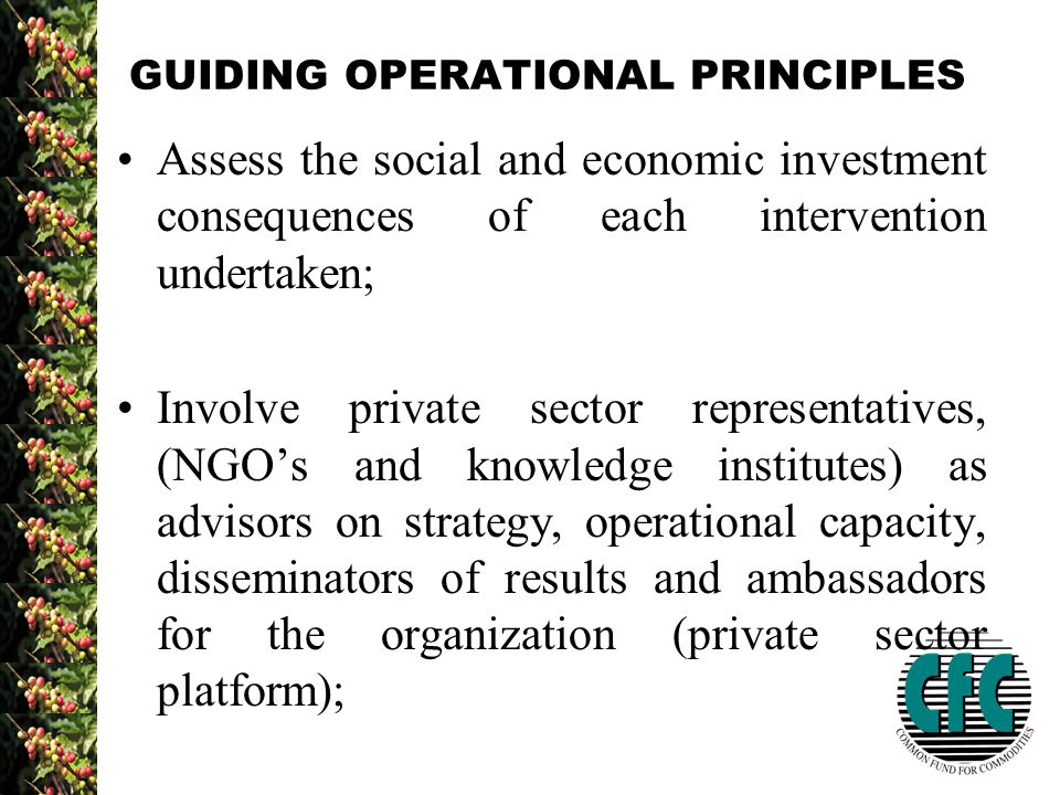 GUIDING OPERATIONAL PRINCIPLES Assess the social and economic investment consequences of each intervention undertaken; Involve private sector representatives, (NGO’s and knowledge institutes) as advisors on strategy, operational capacity, disseminators of results and ambassadors for the organization (private sector platform);
