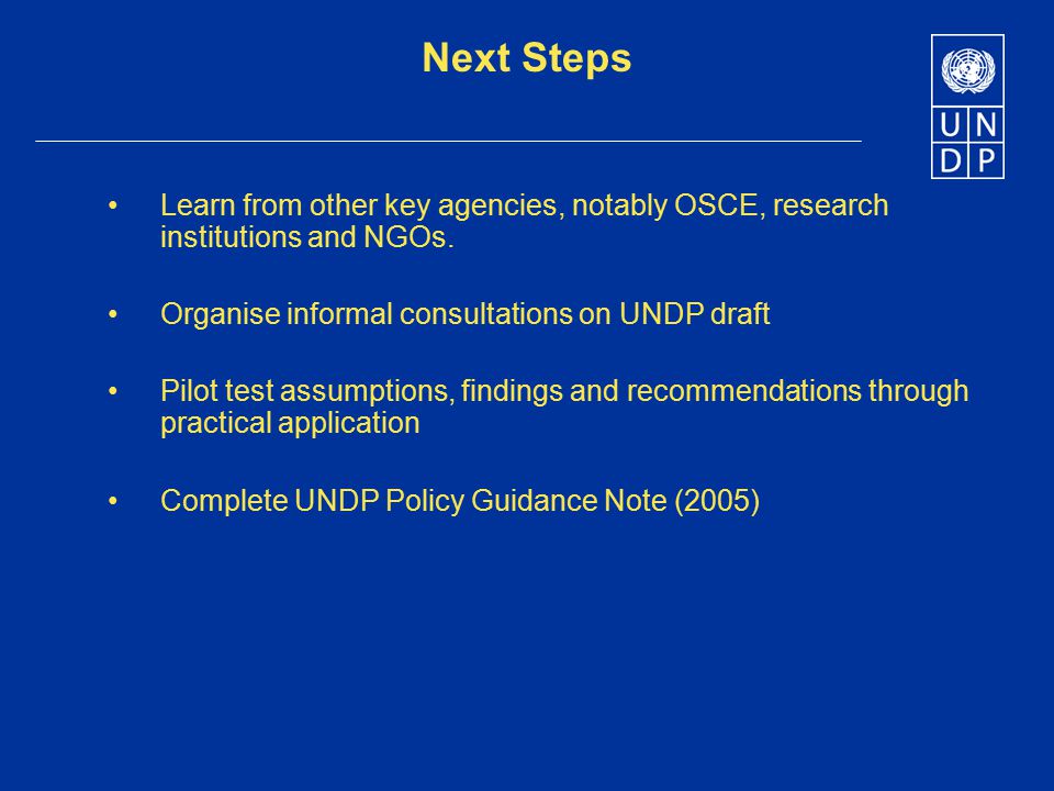 Next Steps Learn from other key agencies, notably OSCE, research institutions and NGOs.